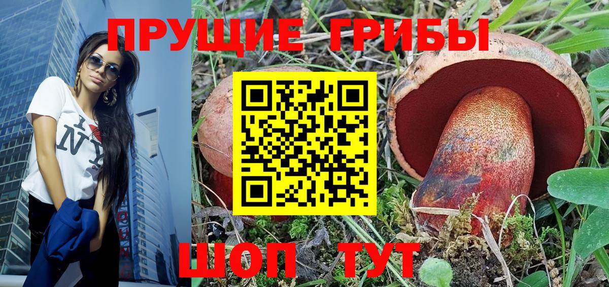 Псилоцибиновые грибы Psilocybe Краснотурьинск